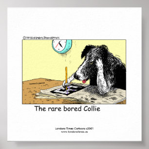 Unique Funny Border Collie Poster