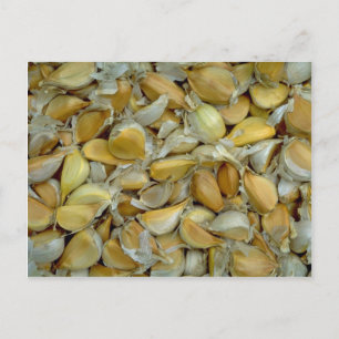 Unique Garlic Postcard