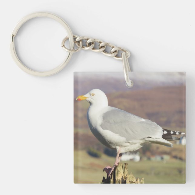 Unique Graceful Seagull Key Ring Detailed Standing (Front)
