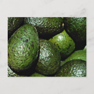 Unique Green avocado Postcard