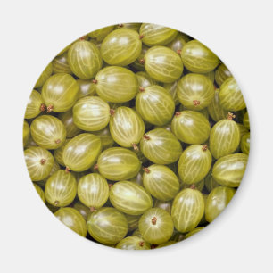Unique Green gooseberries Magnet