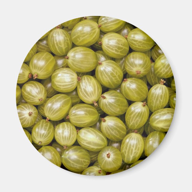 Unique Green gooseberries Magnet (Front)