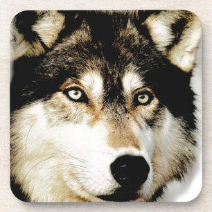 Unique Motivational Wolf Coaster