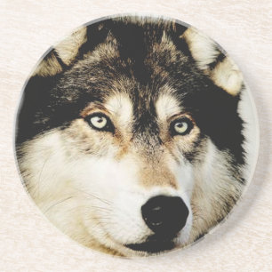 Unique Motivational Wolf Coaster
