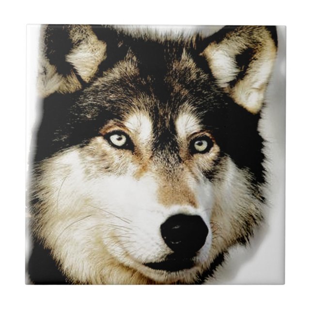Unique Motivational Wolf Tile (Front)