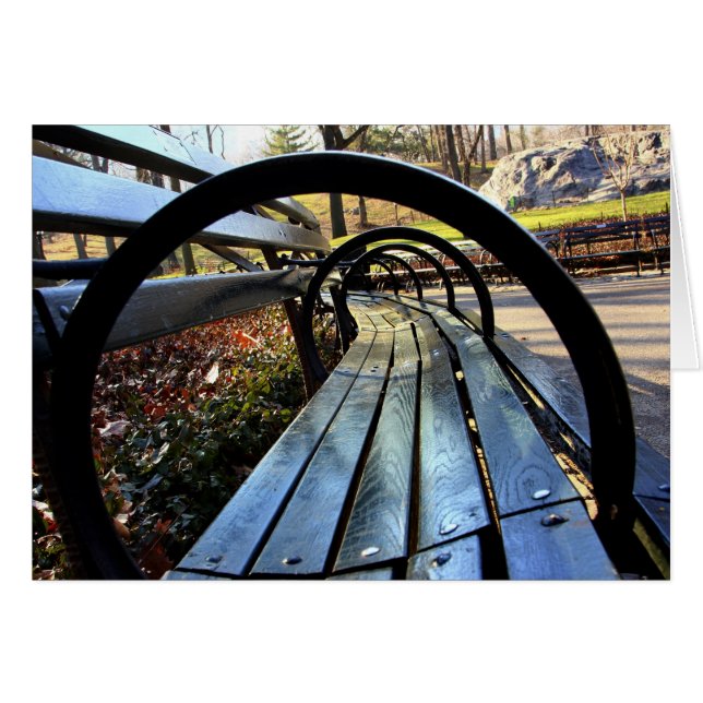 Unique Park Bench in Central Park, NYC (Front Horizontal)