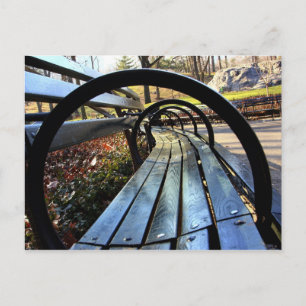 Unique Park Bench in Central Park, NYC Postcard