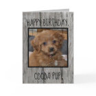 Unique Pet Birthday from Owner Photo Dog Cat Text