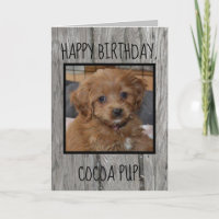Unique Pet Birthday from Owner Photo Dog Cat Text