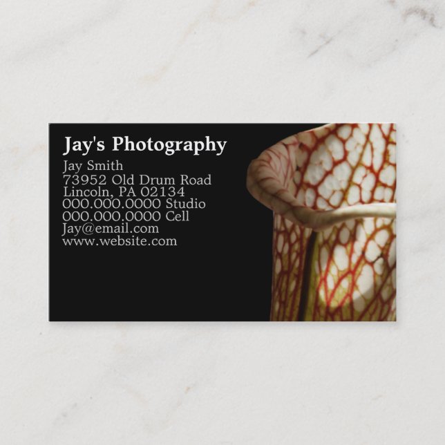 Unique Photography Business Cards (Front)