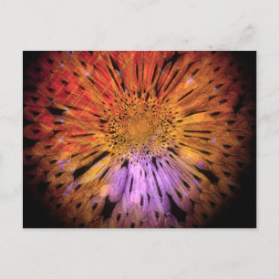Unique Postcard