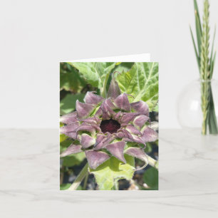 Unique Purple Sunflower Note Card