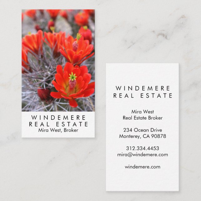 Unique Real Estate Agent Broker Red Cactus Blooms  Business Card (Front/Back)