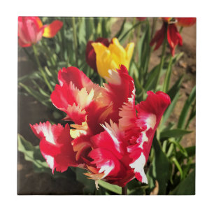 Unique Red & White Tulip Tile