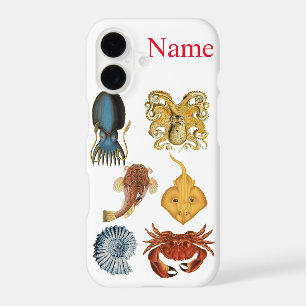 Unique Sea Beings Assortment Thunder_Cove