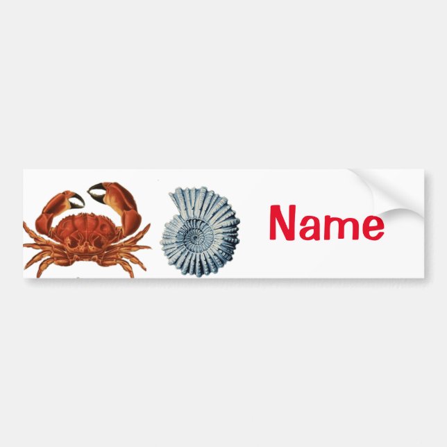 Unique Sea Beings Assortment Thunder_Cove  Bumper Sticker (Front)