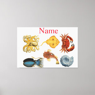 Unique Sea Beings Assortment Thunder_Cove Canvas Print