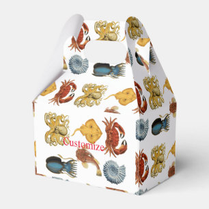 Unique Sea Beings Assortment Thunder_Cove  Favour Box