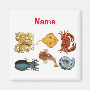 Unique Sea Beings Assortment Thunder_Cove Magnet