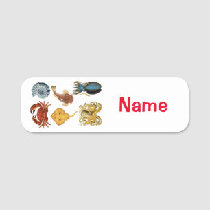 Unique Sea Beings Assortment Thunder_Cove  Name Tag