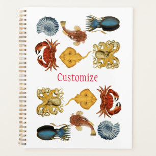 Unique Sea Beings Assortment Thunder_Cove Planner