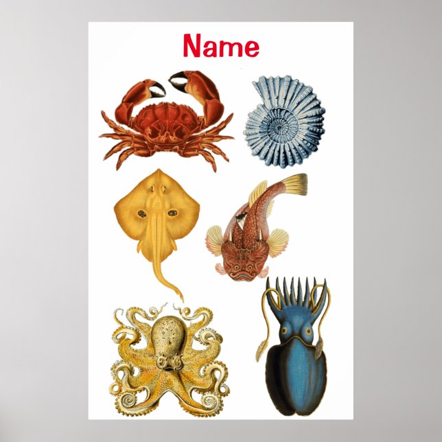 Unique Sea Beings Assortment Thunder_Cove Poster (Front)