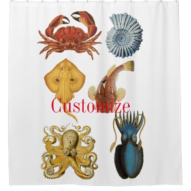 Unique Sea Beings Assortment Thunder_Cove Shower Curtain (Front)