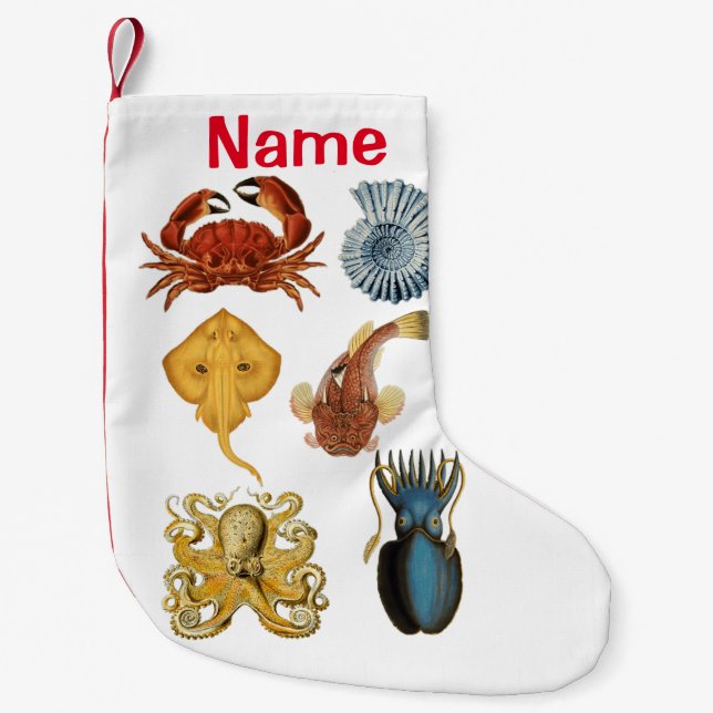 Unique Sea Beings Assortment Thunder_Cove Small Christmas Stocking (Front)