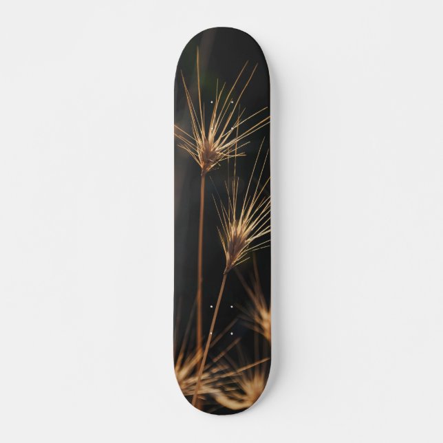 Unique Short Bursting Wild Grass Skateboard (Front)