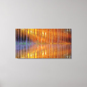 Unique Woodland Sunset Golden Rays Reflections Canvas Print