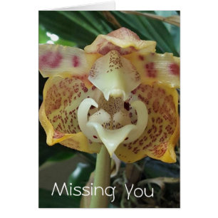 Unique Yellow Flower Missing You Card