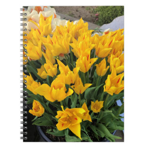 Unique Yellow Tulips Notebook