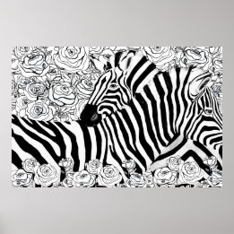 Unique Zebras Poster