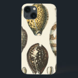Uniquely Shaped Seashells iPhone 13 Case<br><div class="desc">Lay out on the warm sand and find the hidden treasures! This painting by Kobeit,  he captures the beautiful water life found ashore. Kobeit captures the a beautiful array of sepia toned seashells in a vintage tone. Get your beautiful ocean art today on your next Zazzle product.</div>