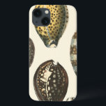 Uniquely Shaped Seashells iPhone 13 Case<br><div class="desc">Lay out on the warm sand and find the hidden treasures! This painting by Kobeit,  he captures the beautiful water life found ashore. Kobeit captures the a beautiful array of sepia toned seashells in a vintage tone. Get your beautiful ocean art today on your next Zazzle product.</div>