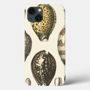 Uniquely Shaped Seashells iPhone 13 Case