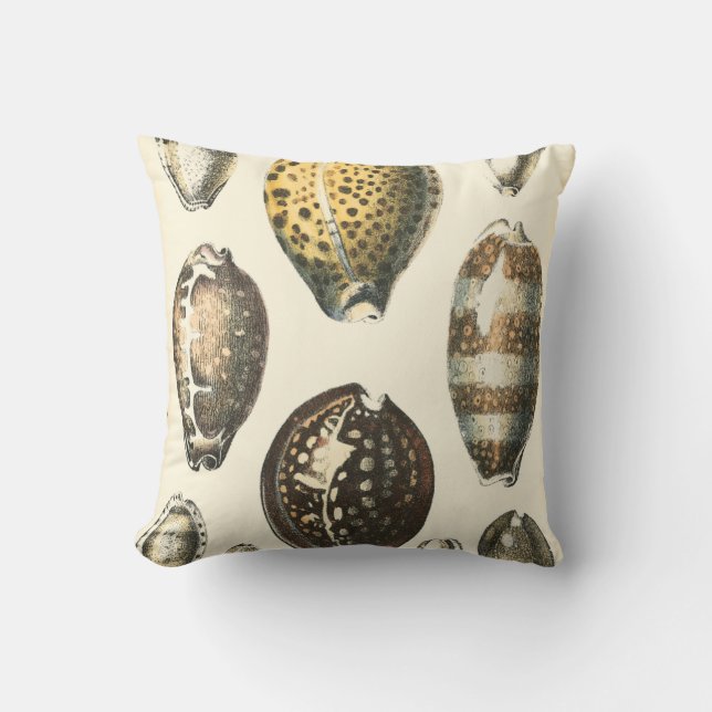 Uniquely Shaped Seashells Cushion (Front)