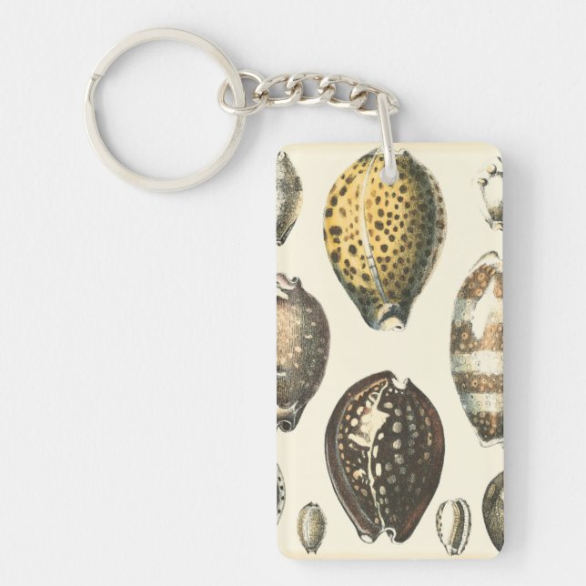 Uniquely Shaped Seashells Key Ring (Front)