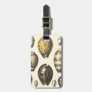 Uniquely Shaped Seashells Luggage Tag