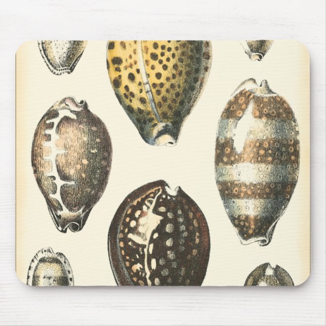 Uniquely Shaped Seashells Mouse Mat (Front)