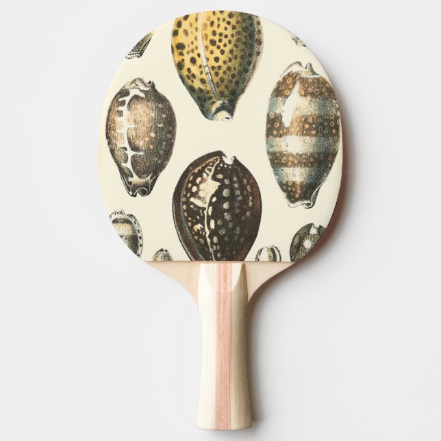 Uniquely Shaped Seashells Ping Pong Paddle (Front)