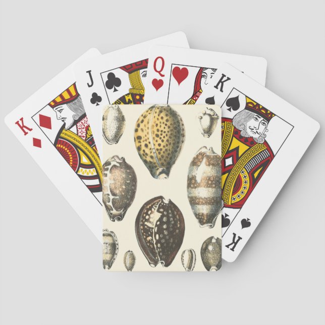 Uniquely Shaped Seashells Playing Cards (Back)