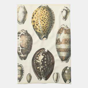 Uniquely Shaped Seashells Tea Towel