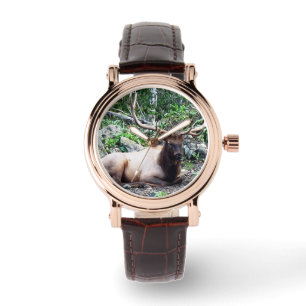 Unisex Elk watch