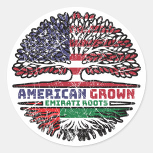 United Arab Emirates Emirati US American USA UAE Classic Round Sticker