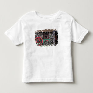United Kingdom, Scotland, Isle of Skye, stone Toddler T-Shirt
