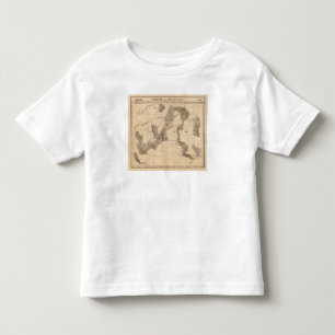 United States, America 40 Toddler T-Shirt