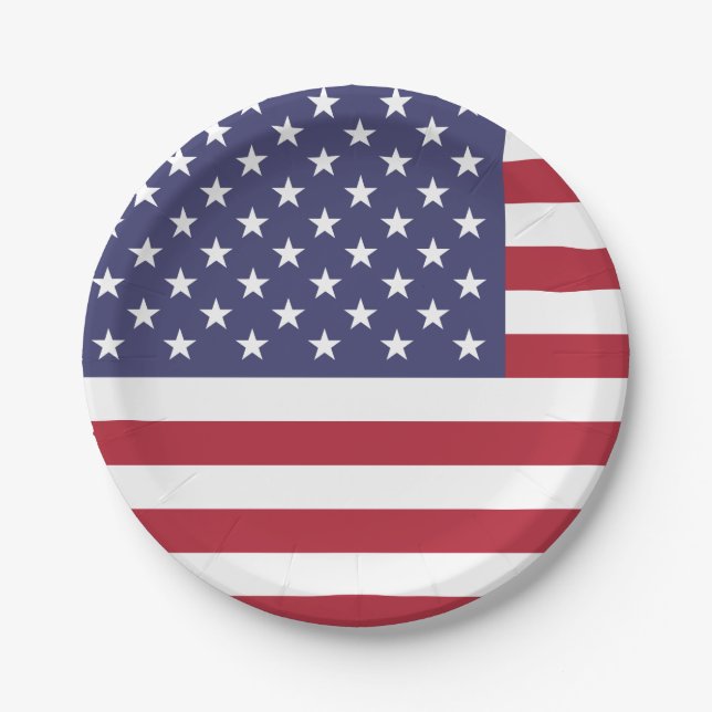 United States (American) Flag Paper Plate (Front)