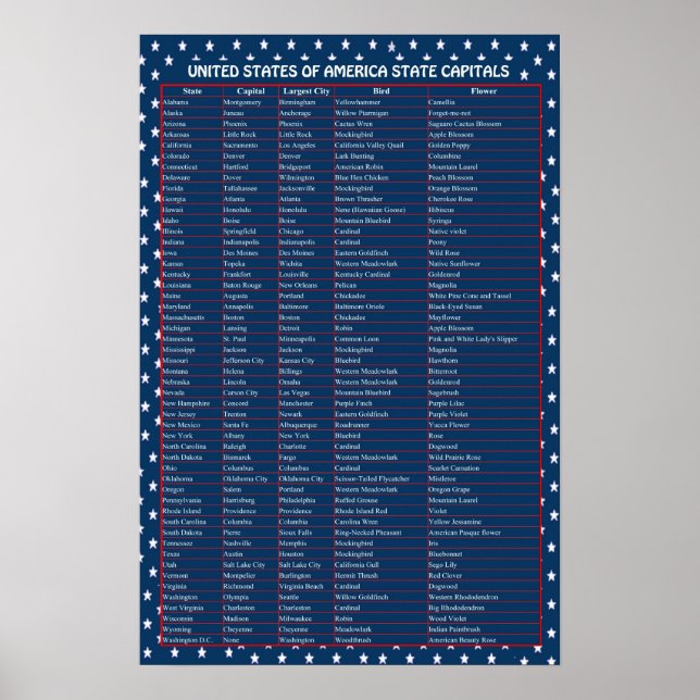 United States Capitals Poster (Front)