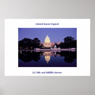 United States Capitol Poster
